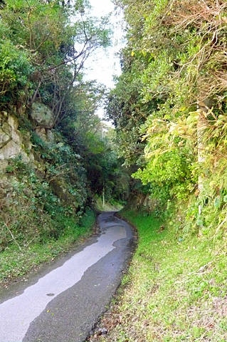 (3) 木の根道切通し