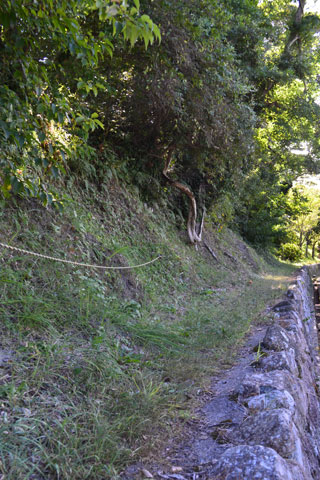 (22)館山城切岸