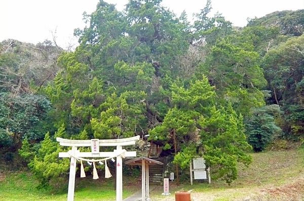 (1) 十二天神社
