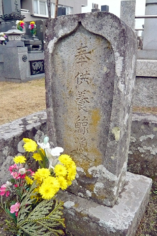 (6) 浄閑寺