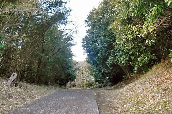 (6) 西岬村役場跡(見物)