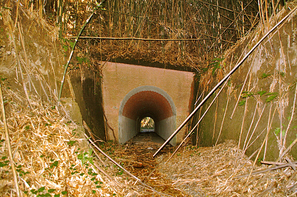 (2) 洲崎第2砲台跡