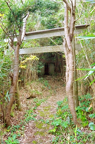 (5) サンノウ様