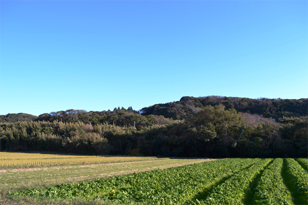 (4)魚尾山(とおやま)