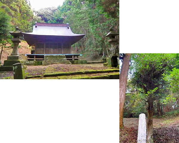 (7) 諏訪神社