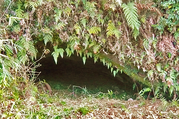 (1) 出野尾貝塚(洞穴遺跡)