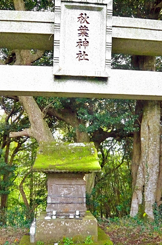 (13) 秋葉神社
