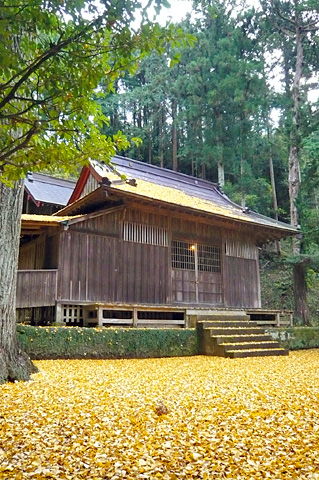 (11) 木幡神社