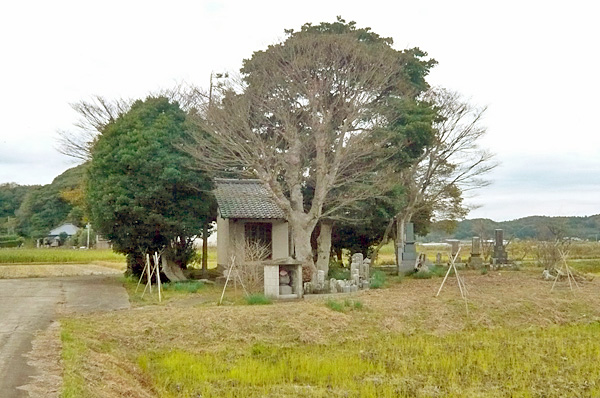 (5) 杉間の堂(祖師堂)