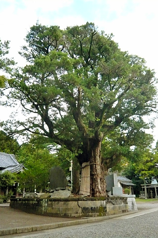 (10)鶴谷神殿重修記念歌碑
