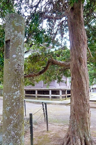 (6)槙(まき)の植樹記念碑