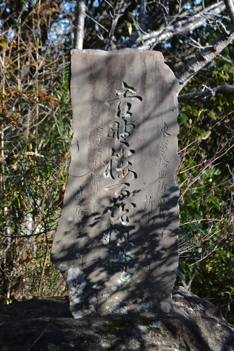 (20)吉野桜百本植付記念碑