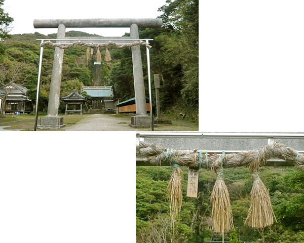 (3)鳥居の大注連縄(おおしめなわ)