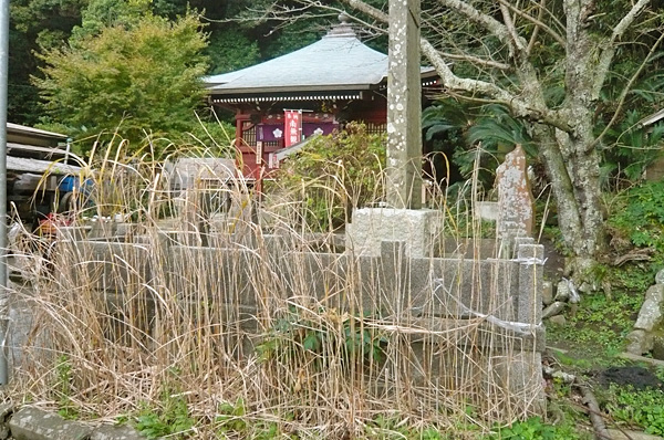 (11)一本すすき
