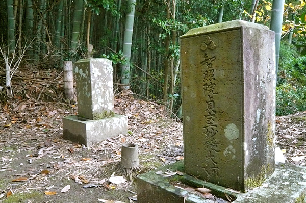 (6)忍(おし)藩士家族の墓