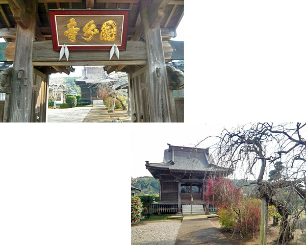 左:国分寺 山門の扁額 右:国分寺 本堂(薬師堂)