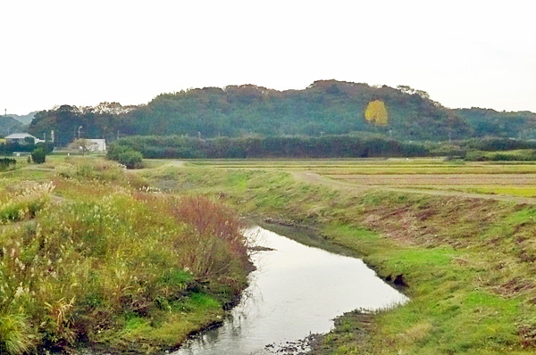 (4)稲村城跡(館山市稲)