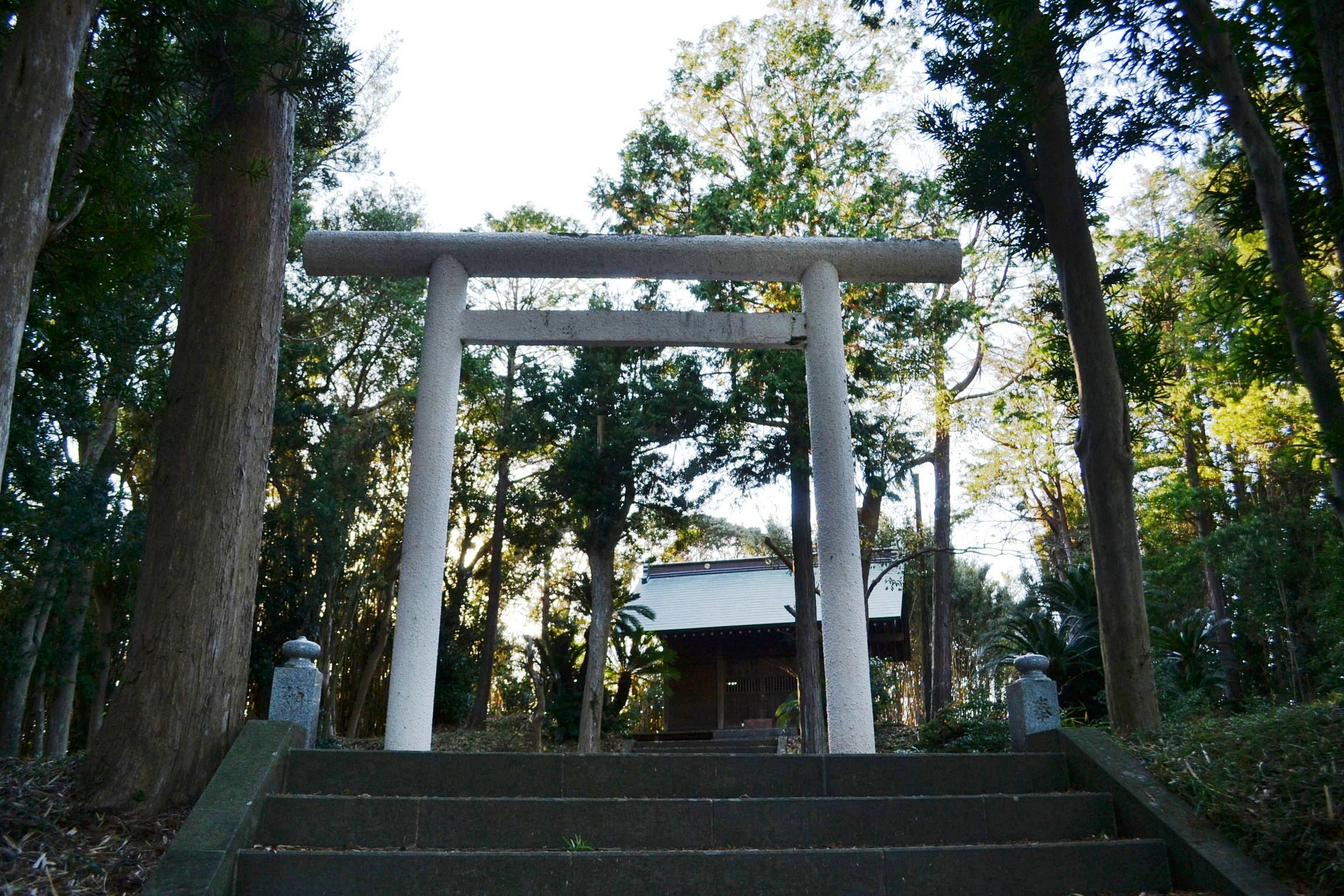 (14)布沼厳島神社