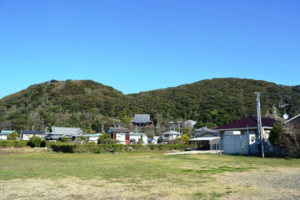 (2)那古山の自然林