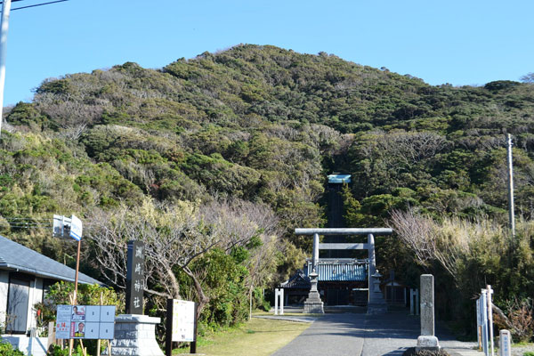 (4)洲崎神社の自然林