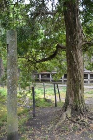 (3)館山神社(館山)の槙の植樹記念碑