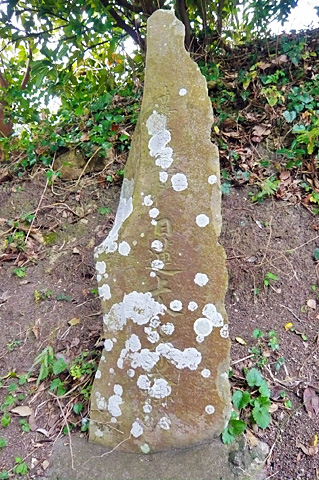 (14) 袈裟掛け松の碑