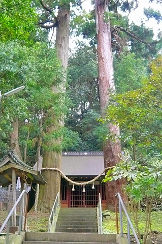 牧田・下立松原神社 御神木と本殿