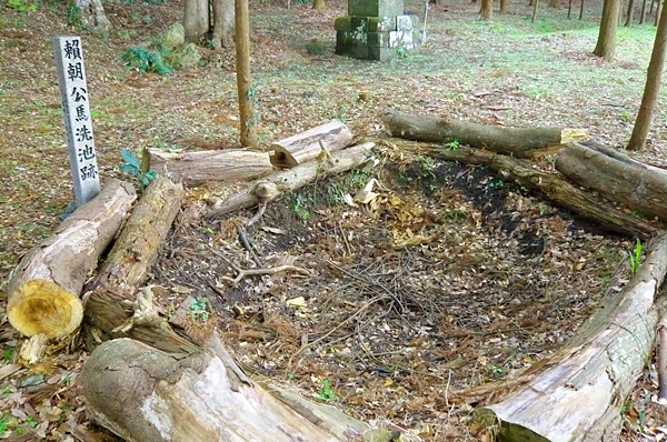 (9) 頼朝公の馬洗池跡