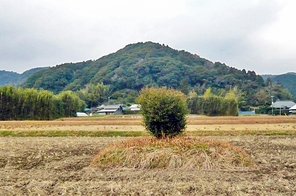 渡度(とど)山周辺