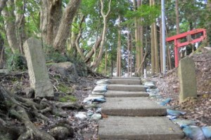 (19)観音の碑(8基)