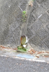 (14)馬頭観音