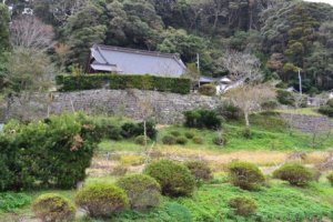 (14)寺山石