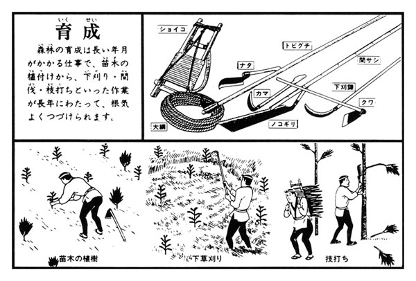育成　森林の育成に使用する道具とその作業