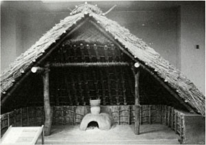 堅穴住居 (実物大模型)