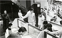 子ども展示室での様子