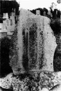 熊沢薫 墓碑