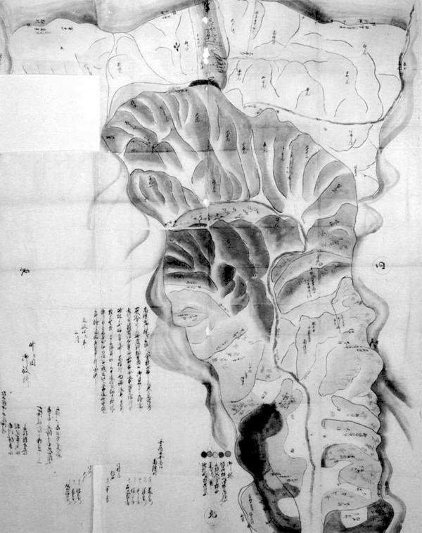 南条村三郷(南条・大戸・作名)山林新畑絵図 文政4年(1821)