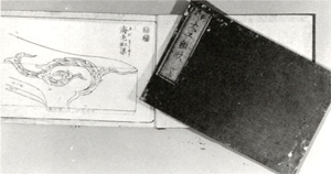 11．新刻大工雛形