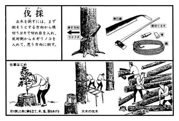伐採　立木を倒すための道具と作法