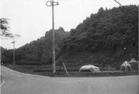 真里谷城跡(木更津市)