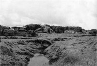 長南城跡(長南町)