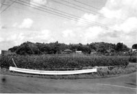 一宮城跡（一宮町）
