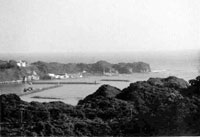 勝浦城跡(勝浦市)