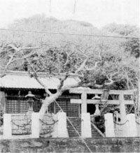 白浜町塩浦の浅間神社