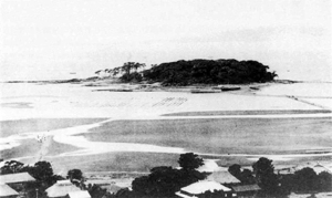 41.宮城の赤山(頼忠寺山)から見た高の島 (大正末~昭和初期)