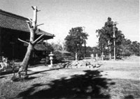 安房国府跡（三芳村府中　宝珠院）