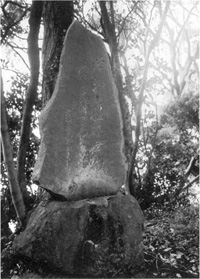 館山市正木．諏訪神社の芭蕉句碑