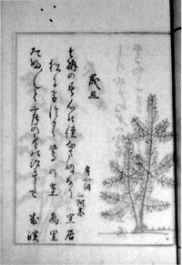 38．『旦暮帖』　文化12年（1815）　　　加藤定彦氏蔵