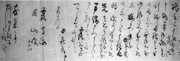 41.田喜庵護物書状(部分) 常光寺蔵
