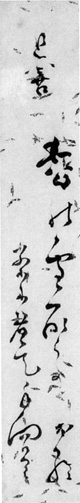 48.四世近藤金羅短冊 山口国男氏蔵